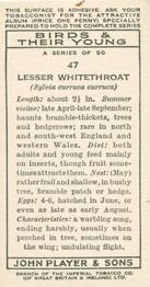 1937 Player's Birds & Their Young #47 Lesser Whitethroat Back