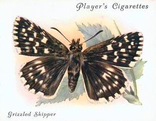 1934 Player's British Butterflies #21 Grizzled Skipper Front