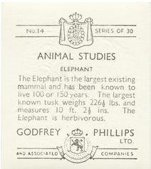 1936 Godfrey Phillips Animal Studies #14 Elephant Back