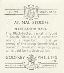 1936 Godfrey Phillips Animal Studies #29 Black-Backed Jackal Back