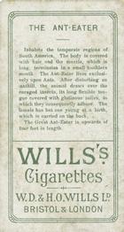 1900 Wills's Cigarettes Animals & Birds (Descriptive) #NNO Anteater Back