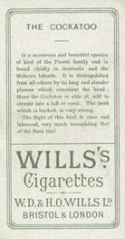 1900 Wills's Cigarettes Animals & Birds (Descriptive) #NNO Cockatoo Back
