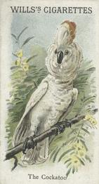 1900 Wills's Cigarettes Animals & Birds (Descriptive) #NNO Cockatoo Front