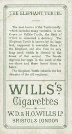 1900 Wills's Cigarettes Animals & Birds (Descriptive) #NNO Elephant Turtle Back