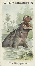 1900 Wills's Cigarettes Animals & Birds (Descriptive) #NNO Hippopotamus Front