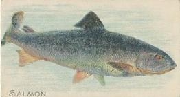 1910 American Tobacco Co. Fish Series (T58) - Sweet Caporal Cigarettes Factory 30 #NNO Salmon Front