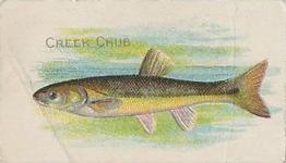 1910 American Tobacco Co. Fish Series (T58) - Sweet Caporal Cigarettes Factory 30 #NNO Creek Chub Front