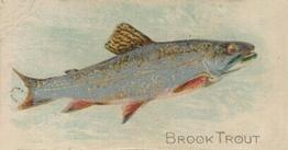 1907 Philadelphia Caramel Zoo Cards: Fish (E32) #NNO Brook Trout Front