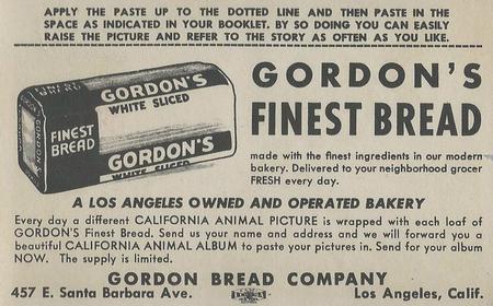 1946 Gordon's Bread California Animals (D39-12) #NNO Badger Back