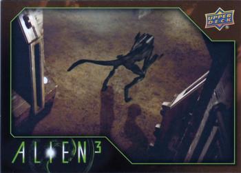 2021 Upper Deck Alien 3 #73 Xenomorph runner Front