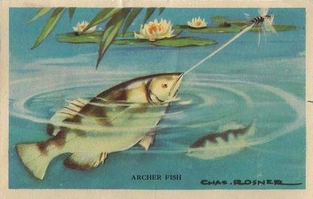 1949 Gordon's Bread Denizens of the Deep (D39-13) #NNO Archer Fish Front