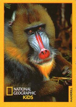 2018-19 National Geographic Kids December-January #NNO Mandrill Front