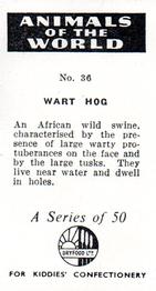 1956 Dryfood Ltd Animals of the World #36 Wart Hog Back