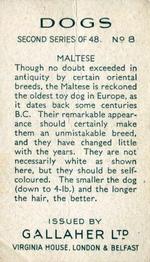 1938 Gallaher Dogs Series 2 #8 Maltese Back