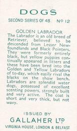 1938 Gallaher Dogs Series 2 #12 Golden Labrador Back