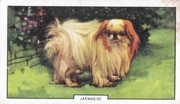 1938 Gallaher Dogs Series 2 #16 Japanese Front