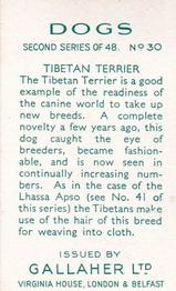 1938 Gallaher Dogs Series 2 #30 Tibetan Terrier Back