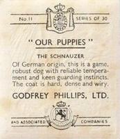 1936 Godfrey Phillips Our Puppies #11 The Schnauzer Back