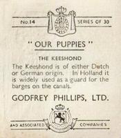 1936 Godfrey Phillips Our Puppies #14 The Keeshond Back
