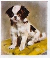 1936 Godfrey Phillips Our Puppies #15 The Japanese Front