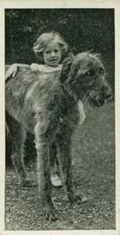 1936 Carreras Dogs & Friend #50 Irish Wolfhound Front