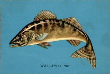 1962 Parkhurst Fish (V339-19) #4 Wall-Eyed Pike Front