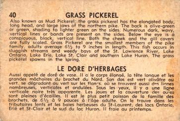 1962 Parkhurst Fish (V339-19) #40 Grass Pickerel Back
