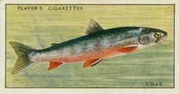 1933 Player's Fresh-Water Fishes #14 Char Front