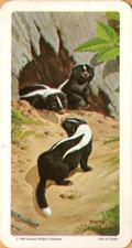 1990 Lipton Red Rose Animals And Their Young #32 Striped Skunk Front