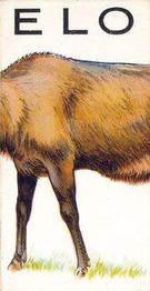 1934 Wills's Animalloys #5 Antelope Front