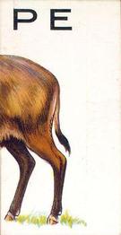 1934 Wills's Animalloys #6 Antelope Front