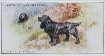 1925 Player's Dogs (Small) #35 Cocker Spaniels Front