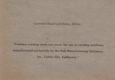 1960 Premiere/Oak Animals (R724-6) #NNO Common Eland Back