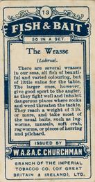 1914 Churchman's Fish & Bait (C11) #13 Wrasse Back