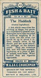 1914 Churchman's Fish & Bait (C11) #42 Haddock Back