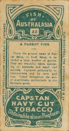 1912 Capstan Navy Cut Tobacco Fish of Australasia #22 Parrot Fish Back