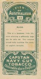 1912 Capstan Navy Cut Tobacco Fish of Australasia #43 Mado Back