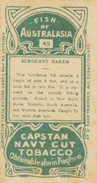1912 Capstan Navy Cut Tobacco Fish of Australasia #45 Sergeant Baker Back