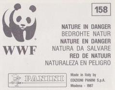 1987 Panini WWF Nature in Danger Stickers #158 Golden Eagle Back