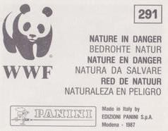 1987 Panini WWF Nature in Danger Stickers #291 Scorpion Back