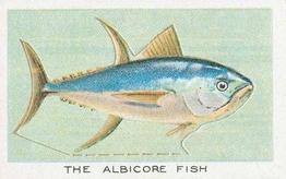 1924 Wills's Birds, Beasts, and Fishes #28 The Albacore Fish Front