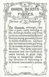 1924 Wills's Birds, Beasts, and Fishes #41 The Chamois Back