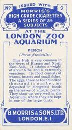 1928 Morris's At the London Zoo Aquarium #2 Perch Back