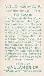 1937 Gallaher Wild Animals #9 Badger Back