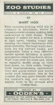 1937 Ogden's Zoo Studies #48 Wart Hog Back