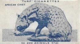 1954 Turf Zoo Animals #34 African Civet Front