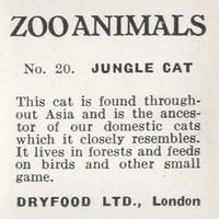 1955 Dryfood Zoo Animals #20 Jungle Cat Back