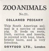 1955 Dryfood Zoo Animals #21 Collared Peccary Back