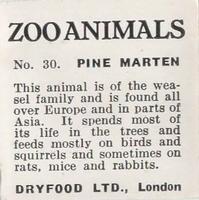 1955 Dryfood Zoo Animals #30 Pine Marten Back