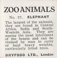 1955 Dryfood Zoo Animals #37 Elephant Back